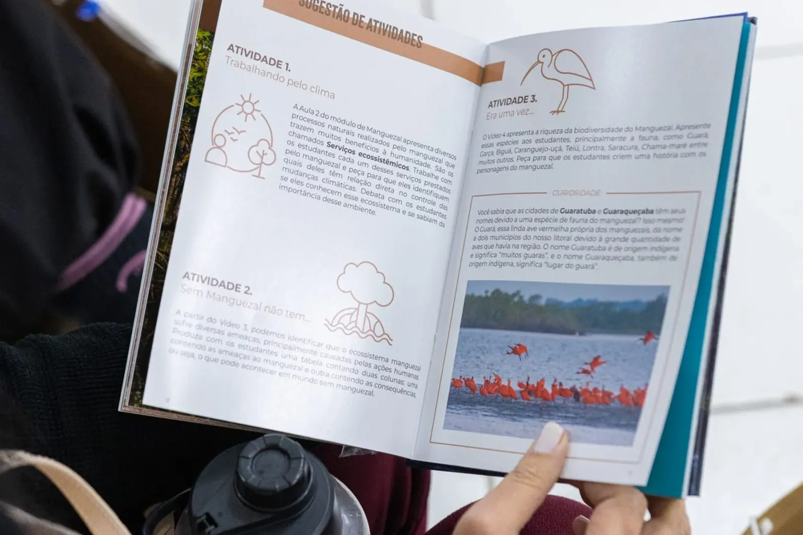 Curso gratuito em cultura oceânica oferta material pedagógico para crianças e adultos