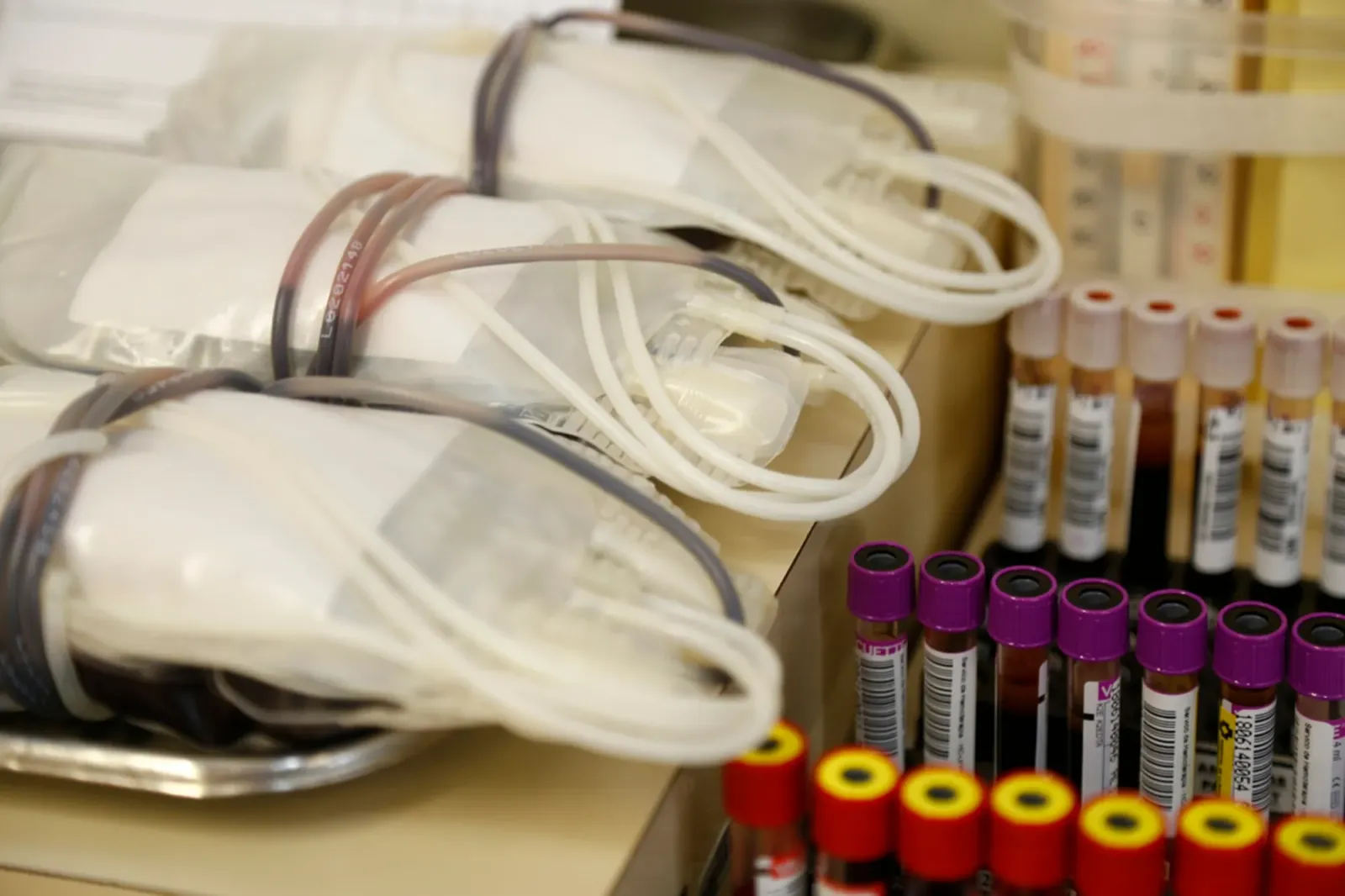Hemepar pede doações de sangue dos tipos O- , O+ e B- no Paraná