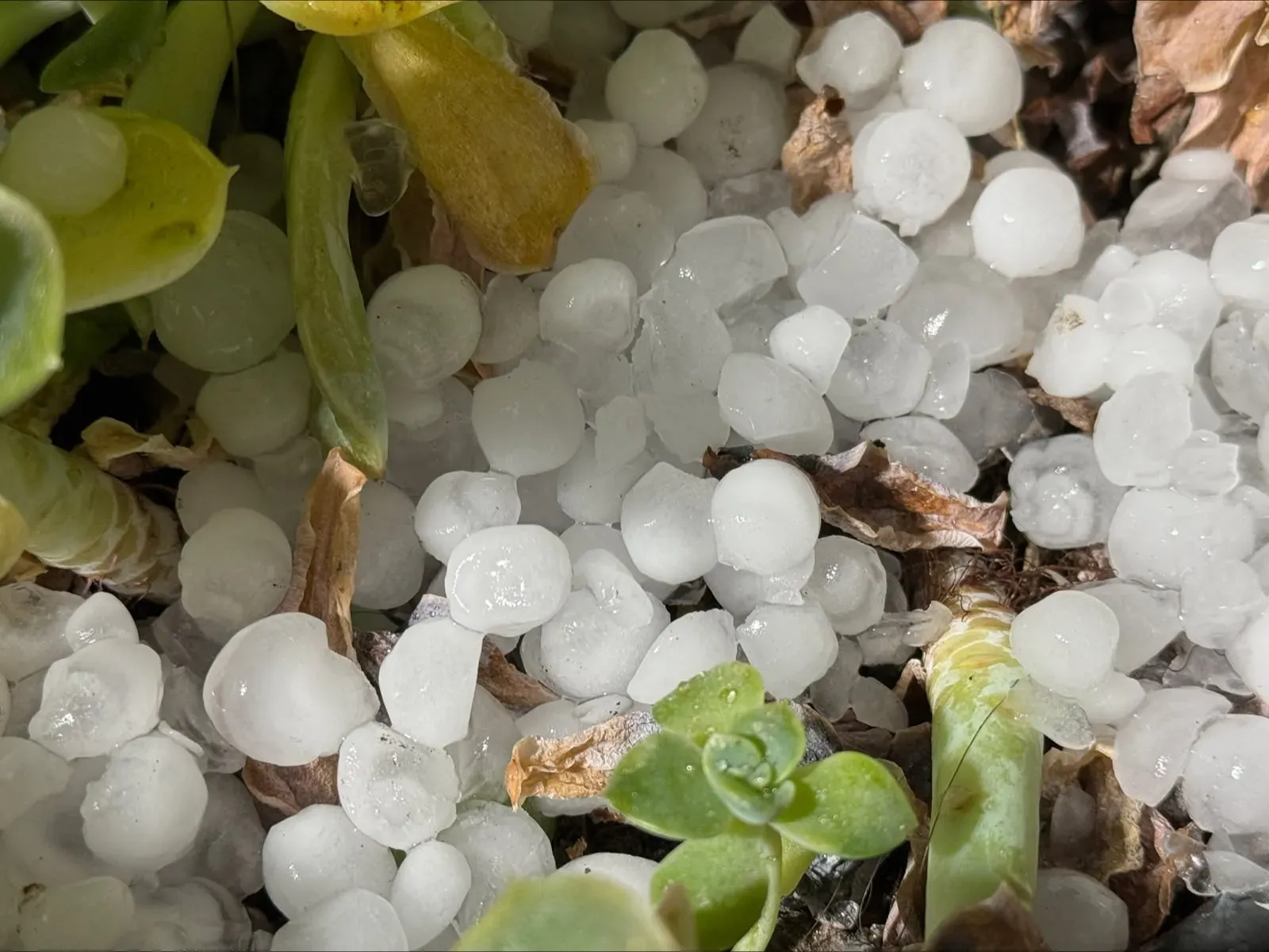 Granizo e chuva forte atingem bairros de Curitiba nesta segunda-feira