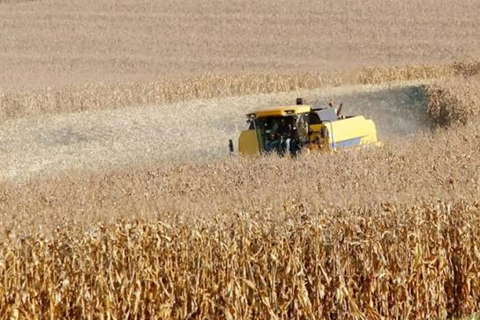 Agro do Paraná cobra medidas do governo Lula para enfrentar dívidas, custos e desafios climáticos