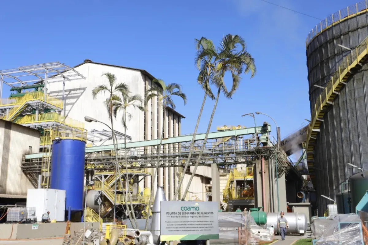 Com aval do BNDES, Coamo acelera investimentos de R$ 1 bi no Paraná
