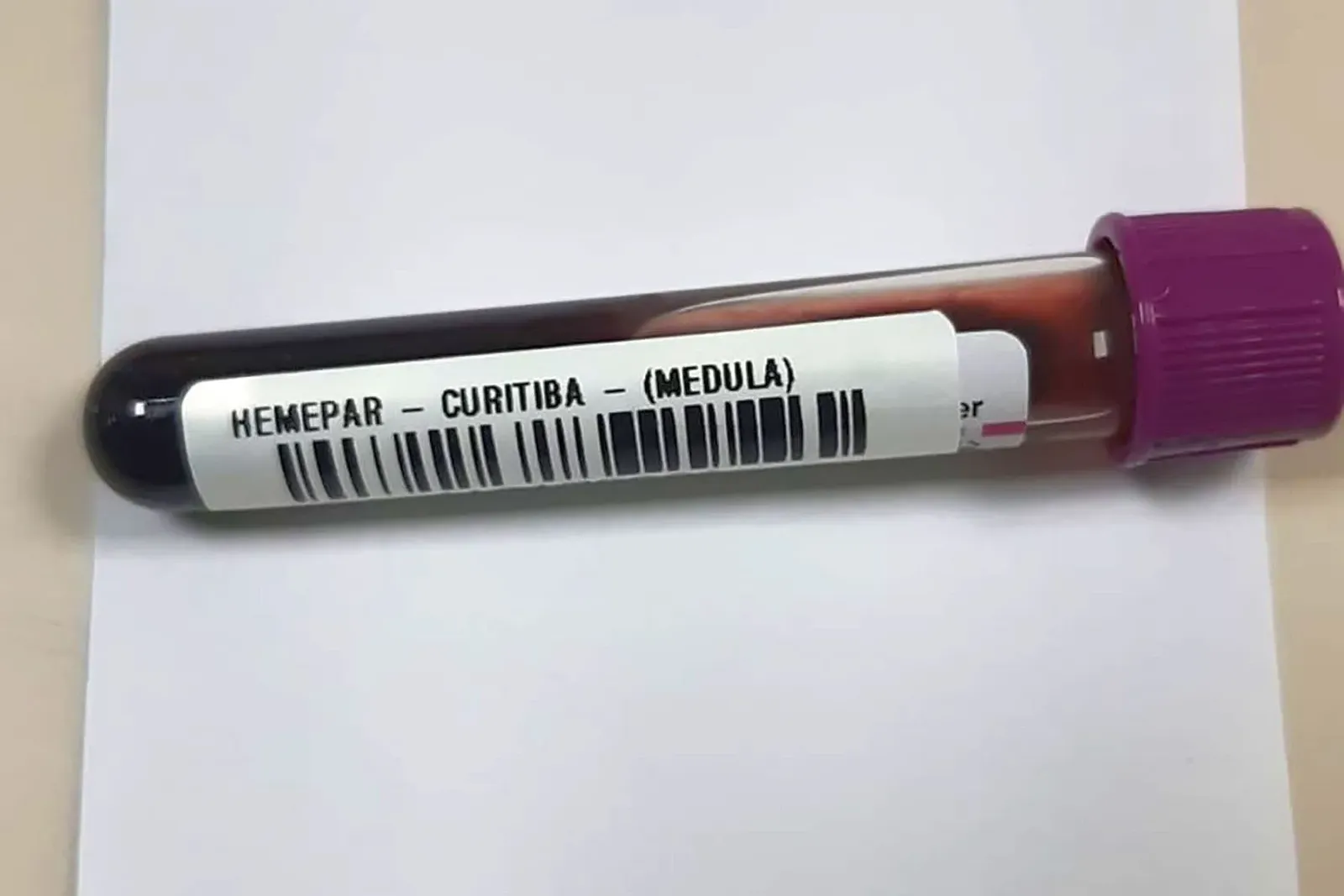 Saiba como ser um doador de medula óssea no Paraná